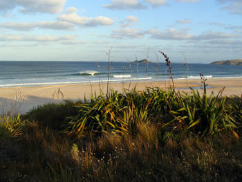 Captivating - Henderson Bay (original photograph)